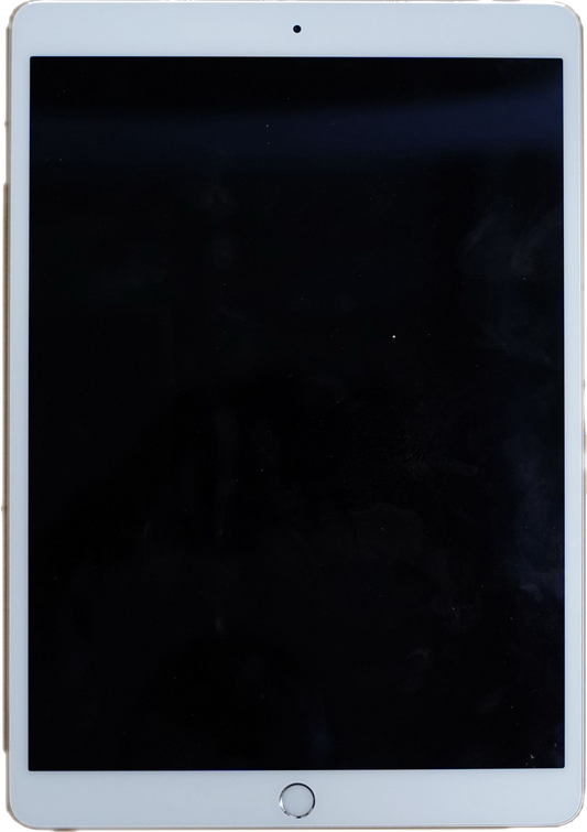 iPad Pro 10.5 Zoll